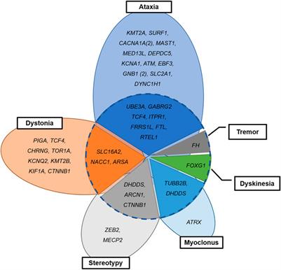 Phenotypic and Genetic Complexity in Pediatric Movement Disorders